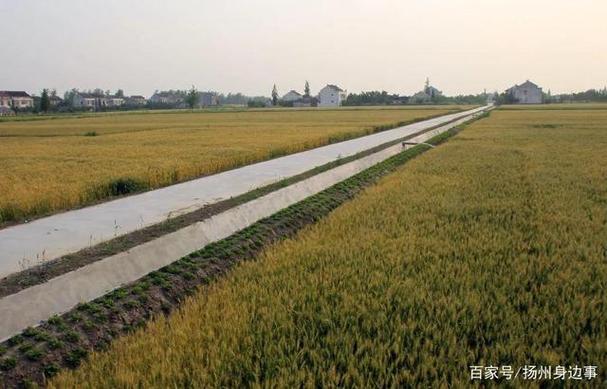 推动水效领跑与非常规水源利用，助力绿色可持续发展