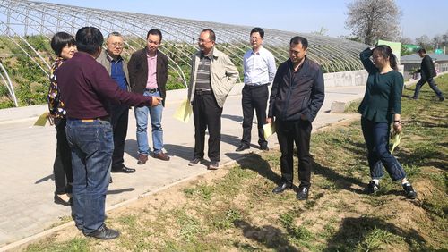 水利部专题调研我市国家节水行动 聚焦非常规水源利用技术研发
