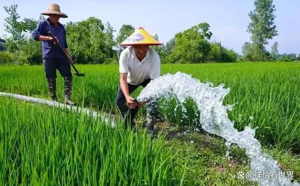 破解水资源困局 从4.3%的占比看非常规水源的技术突围