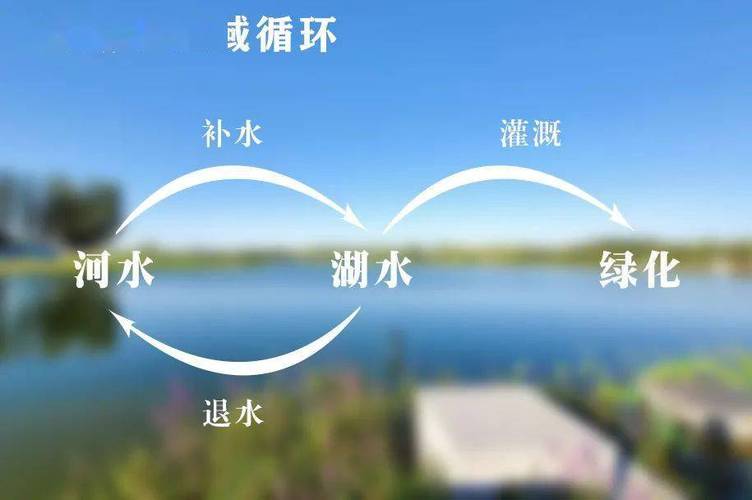 解锁“第二水源” 非常规水源利用技术研发的破局之道